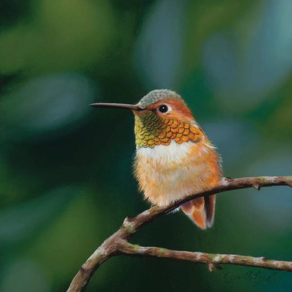 The Art Of The Feather: Paused Jewel by Camille Engel