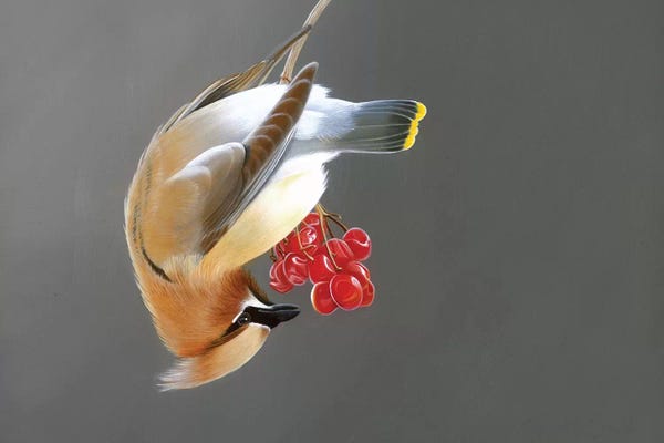 Camille Engel: Smooth Operator by Camille Engel