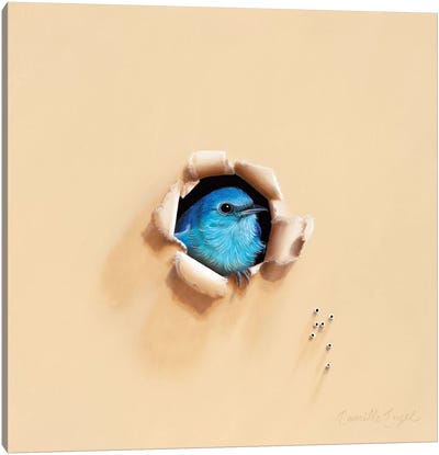Song Sung Blue Canvas Art Print - Camille Engel