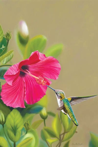 Camille Engel: Target Acquired by Camille Engel