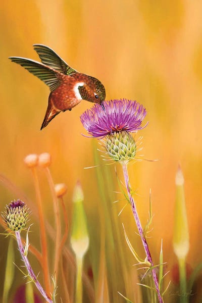Wildflowers: The Sweet Life by Camille Engel