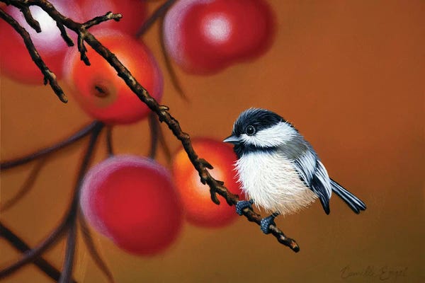 Camille Engel: Touch And Go by Camille Engel