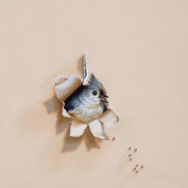 Camille Engel: Tufted Trespasser by Camille Engel