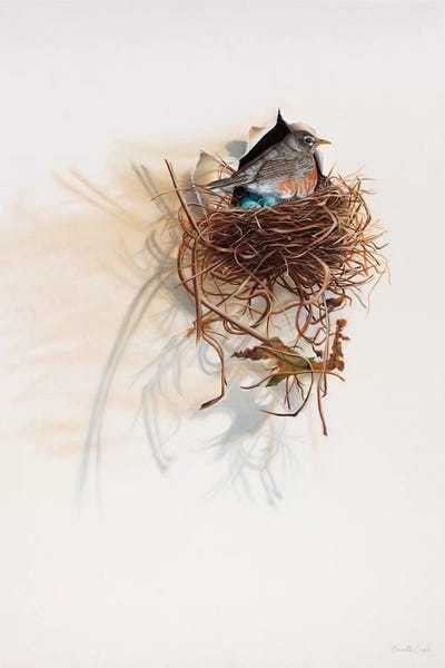 Trompe-l'œil: Urban Loft by Camille Engel