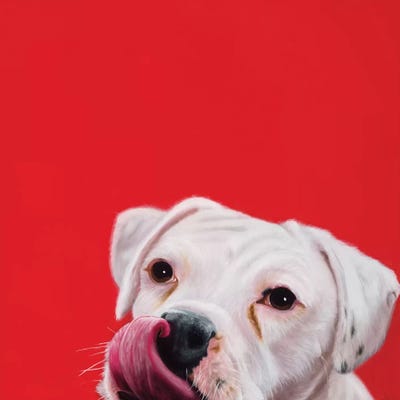 Wet Welcome by Camille Engel framed wall art