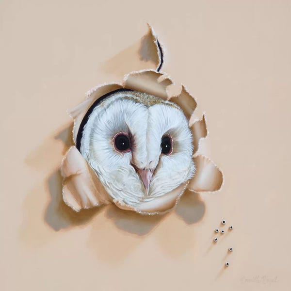 Camille Engel: Who-o-o's There by Camille Engel