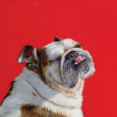 Who'S A Good Girl? by Camille Engel metal wall art