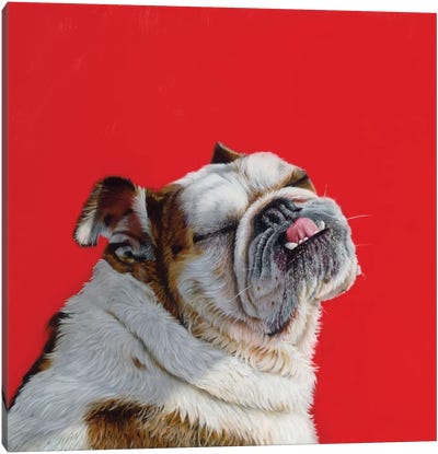 Who'S A Good Girl? Canvas Art Print - Hyperrealism Paintings