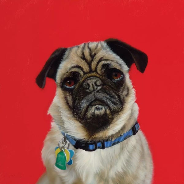 Camille Engel: Why Can'T I Go? by Camille Engel