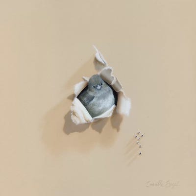 Woodland Friend by Camille Engel framed wall art