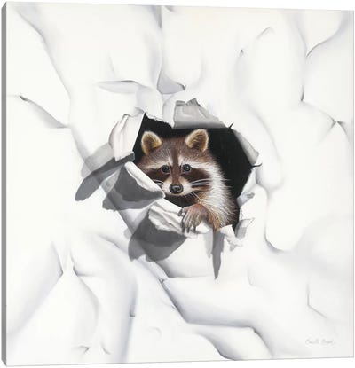Racoon - Little Rascal Canvas Art Print - Raccoon Art