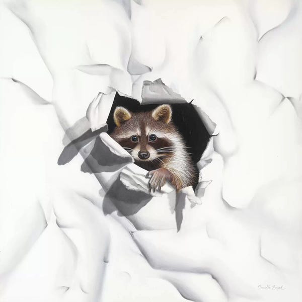 Trompe-l'œil: Racoon - Little Rascal by Camille Engel