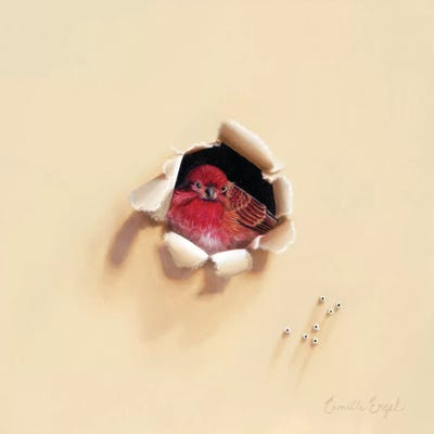 Bird En Rouge by Camille Engel framed wall art