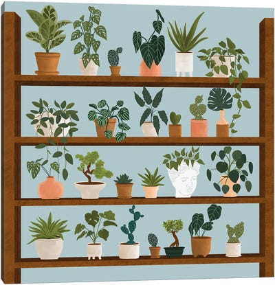 Plant Shelves Canvas Art Print - Ceyda Alasar