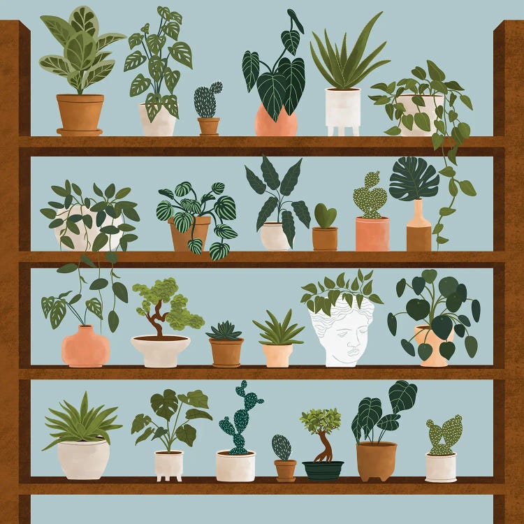 Plant Shelves