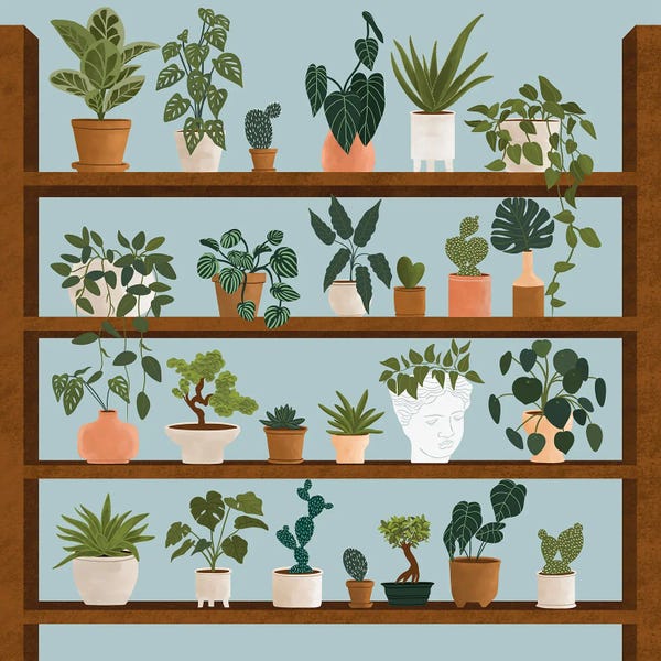 Fine Art Print: Plant Shelves by Ceyda Alasar