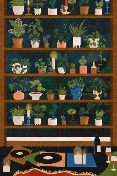 Ceyda Alasar: Plant Shelves Rainy Night by Ceyda Alasar