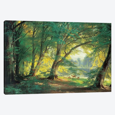 Deer In A Forest Canvas Print #CFA1} by Carl Frederick Aagaard Canvas Wall Art