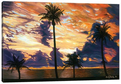 Kauai Sunset Canvas Art Print - Curtis Funke
