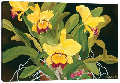 Mom’s Orchids Canvas Art Print - Celery