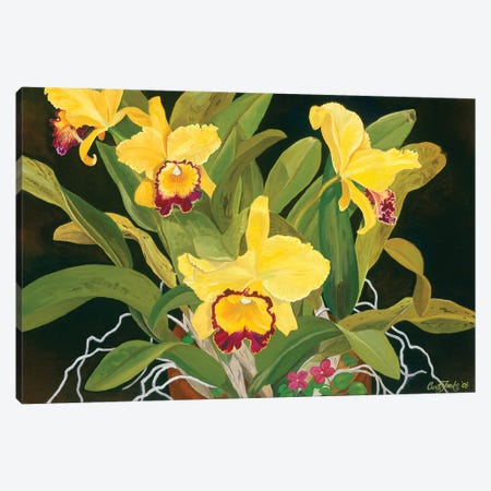 Mom’s Orchids Canvas Print #CFK13} by Curtis Funke Canvas Print
