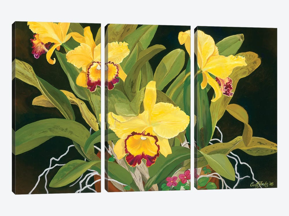 Mom’s Orchids by Curtis Funke 3-piece Canvas Art