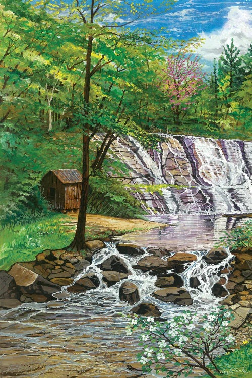 Moravian Falls NC by Curtis Funke wall art