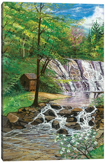 Moravian Falls NC Canvas Art Print - Waterfall Art