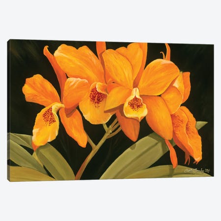 Orange Orchids Canvas Print #CFK16} by Curtis Funke Canvas Wall Art