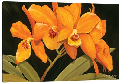 Orange Orchids Canvas Art Print - Orchid Art