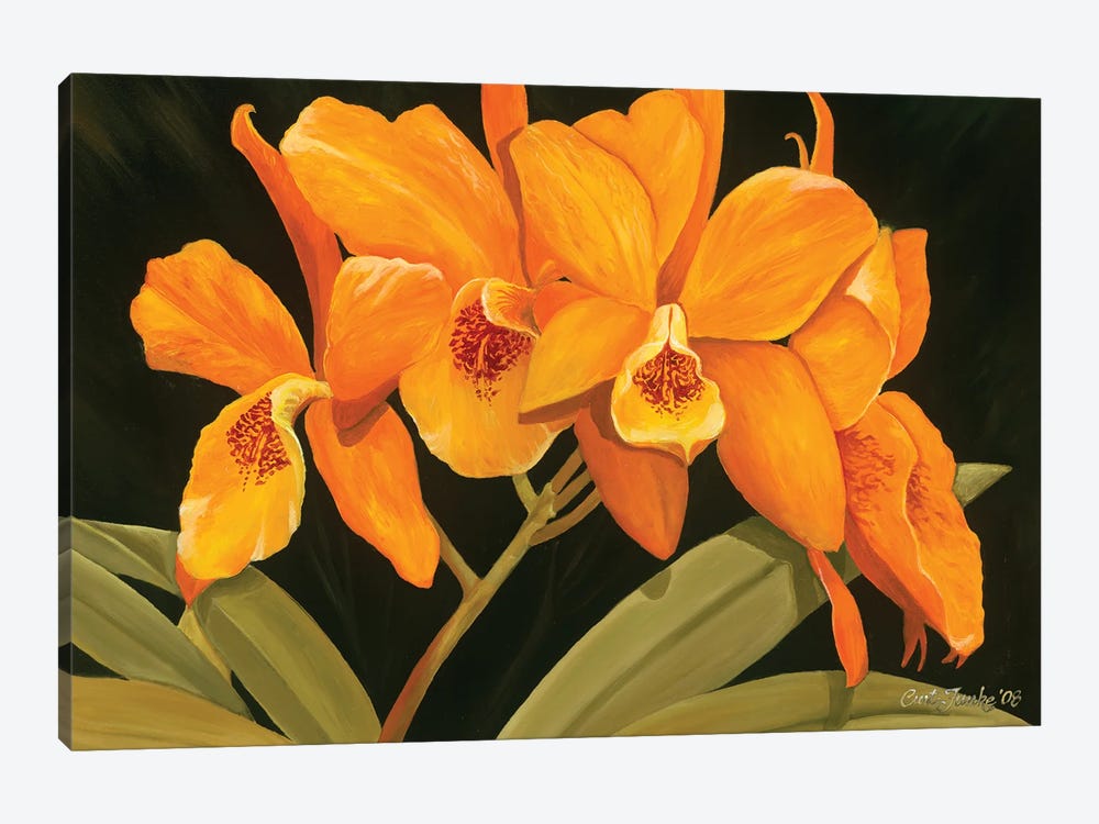 Orange Orchids by Curtis Funke 1-piece Art Print