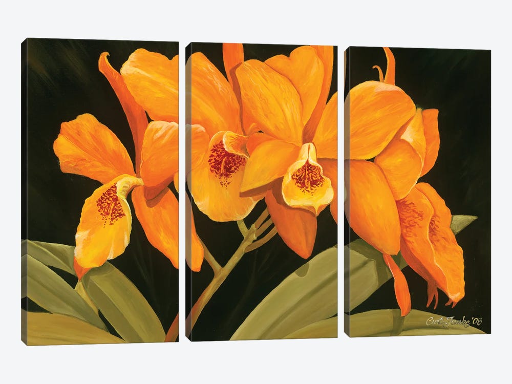 Orange Orchids by Curtis Funke 3-piece Canvas Print