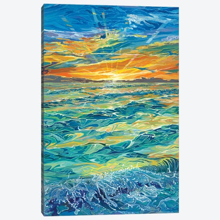 Siesta Keys Sunset Canvas Print #CFK18} by Curtis Funke Canvas Print