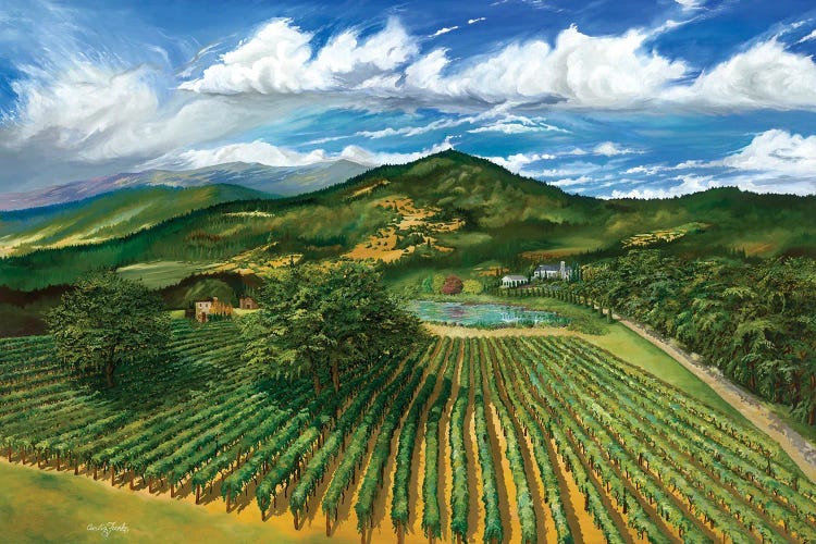 Wine Country by Curtis Funke wall art
