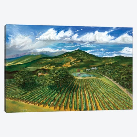 Wine Country Canvas Print #CFK23} by Curtis Funke Canvas Art
