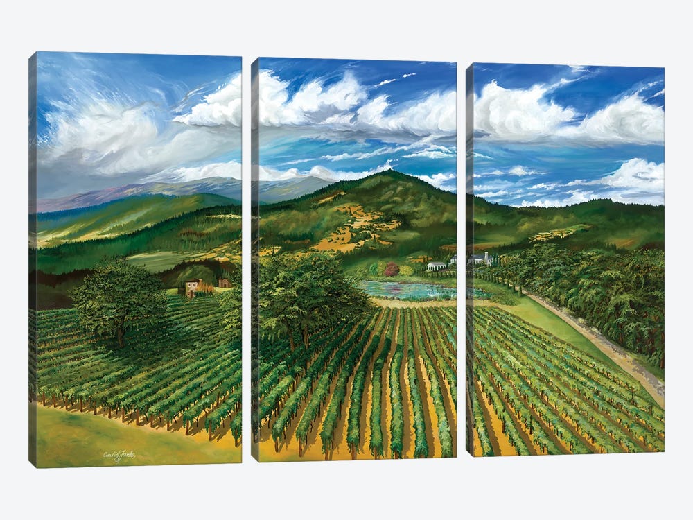 Wine Country by Curtis Funke 3-piece Canvas Art Print