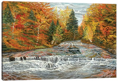 Chagrin River Falls Canvas Art Print - Curtis Funke
