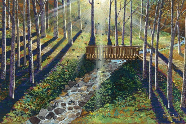 Curtis Funke: Dragon Fly Creek by Curtis Funke