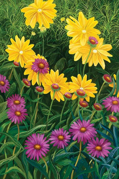 New Generation by Curtis Funke canvas print