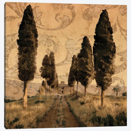 Tuscany I Canvas Print #CFL1} by Colin Floyd Canvas Print