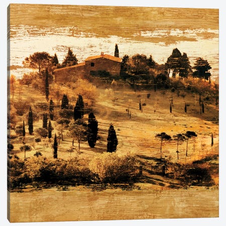 Tuscan Countryside II Canvas Print #CFL4} by Colin Floyd Canvas Wall Art