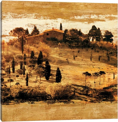 Tuscan Countryside II Canvas Art Print