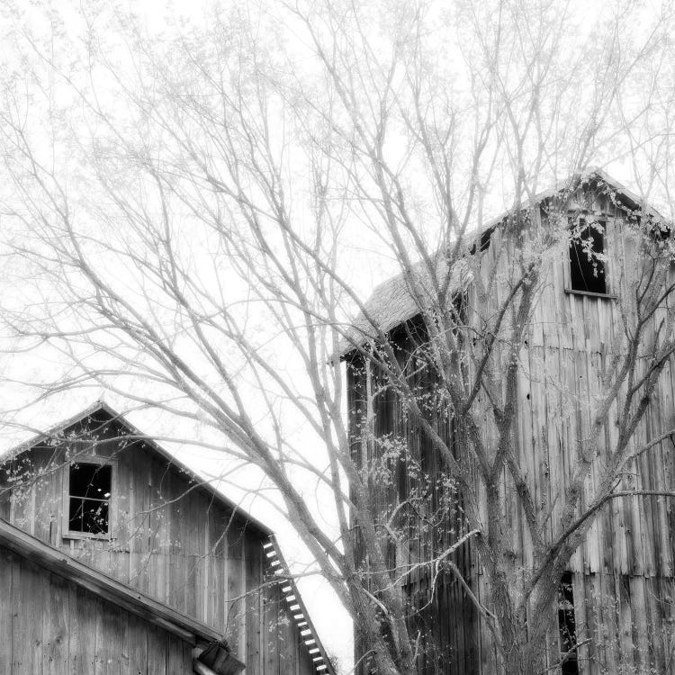 Barn Windows