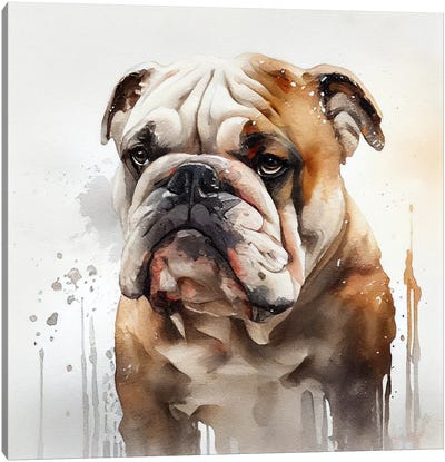 Watercolor British Bulldog Canvas Art Print - Bulldog Art