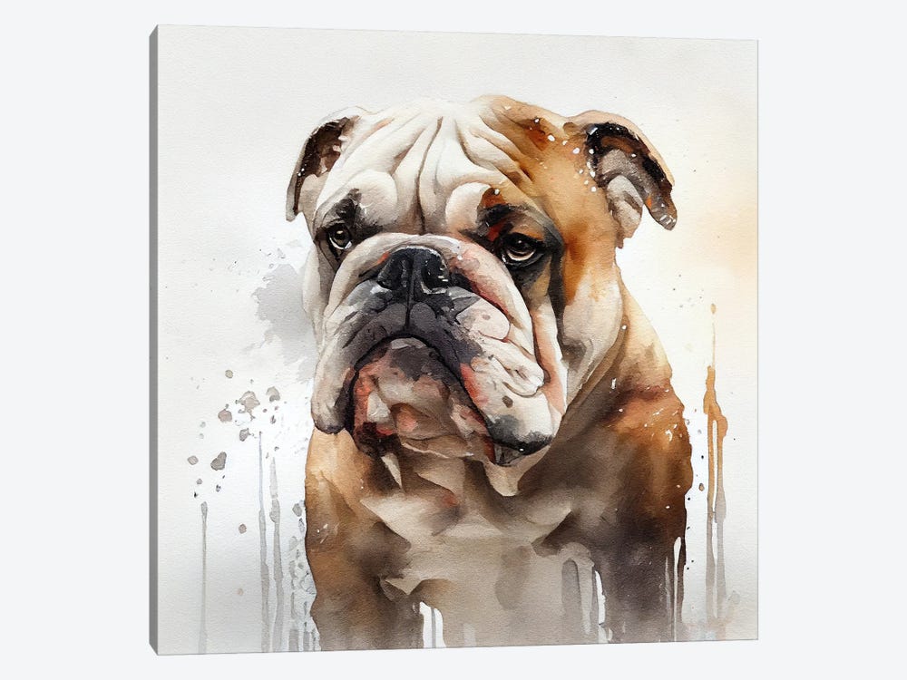 Watercolor British Bulldog by Chromatic Fusion Studio 1-piece Art Print