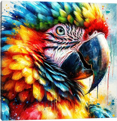 Watercolor Macaw I Canvas Art Print - Parrot Art