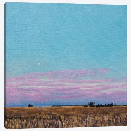 Enid November Moonset Canvas Print #CFY13} by Catherine Freshley Art Print