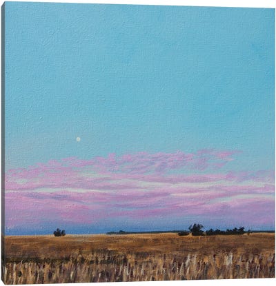 Enid November Moonset Canvas Art Print - Catherine Freshley