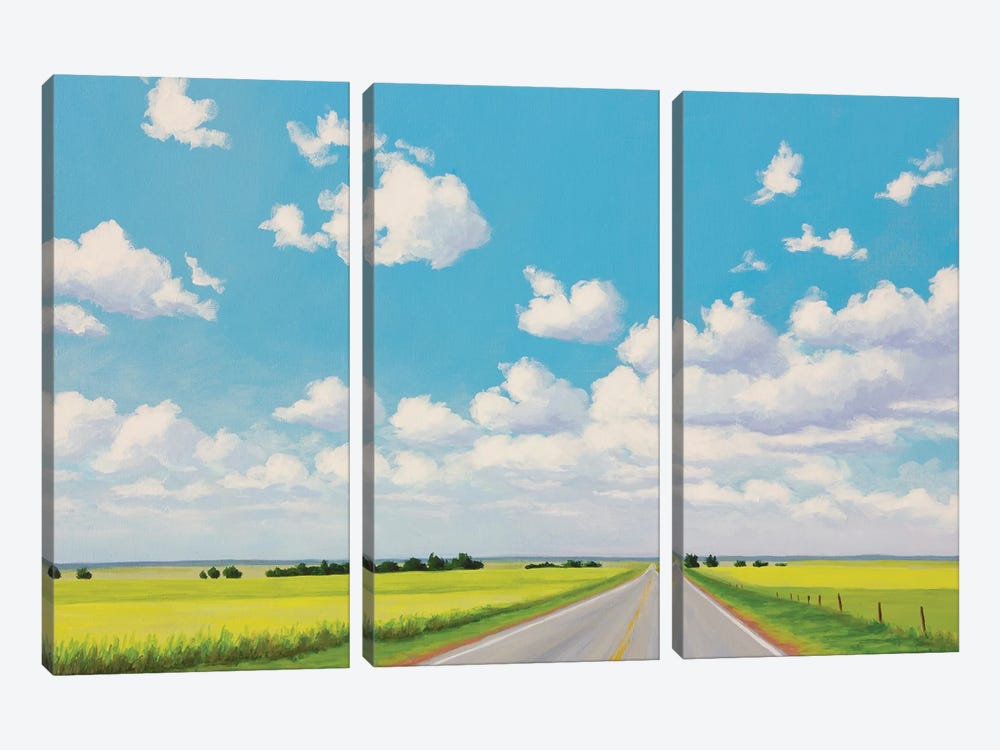 Highway 74 June Drive VIII by Catherine Freshley 3-piece Canvas Print