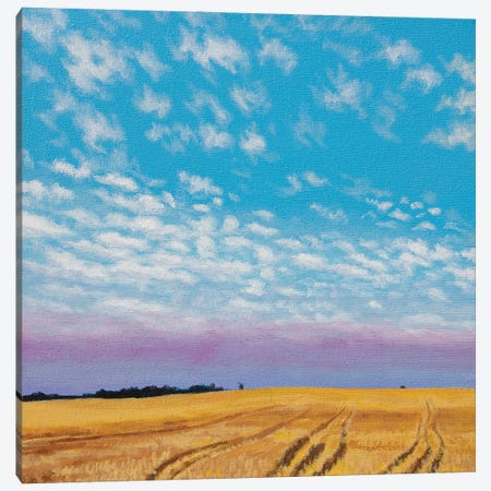 June Wheat Harvest Canvas Print #CFY19} by Catherine Freshley Canvas Art Print